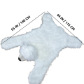 rug size.png