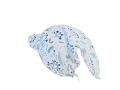 20220615_120326-removebg-preview.png